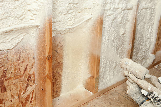 Best Wall Insulation Installation  in USA